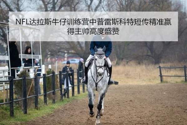 NFL达拉斯牛仔训练营中普雷斯科特短传精准赢得主帅高度盛赞