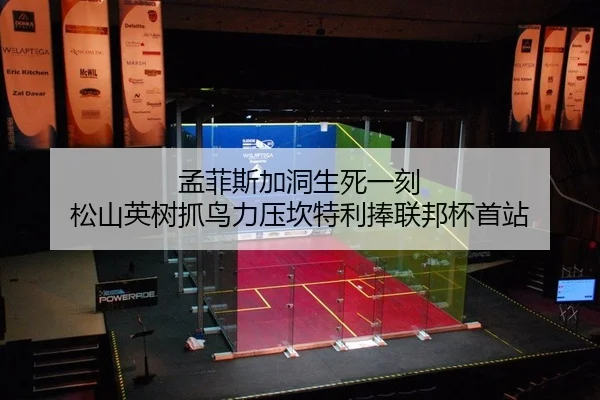 meng-fei-si-jia-dong-sheng-si-yi-ke-song-shan-ying-shu-zhua-niao-li-ya-kan-te-li-peng-lian-bang-bei-shou-zhan-2-814.jpg